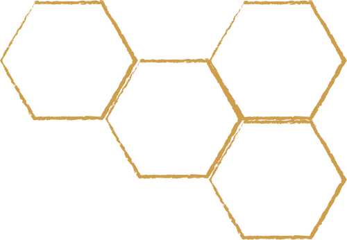 honeycomb vector